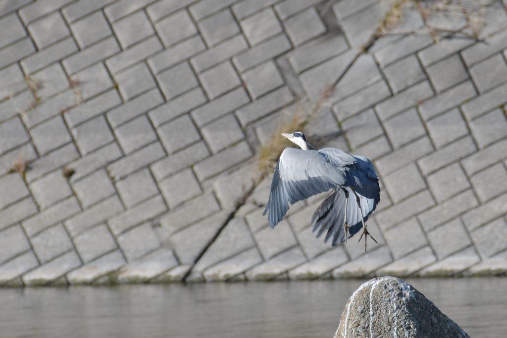 ボツボツ行こうかな　DSC_4641