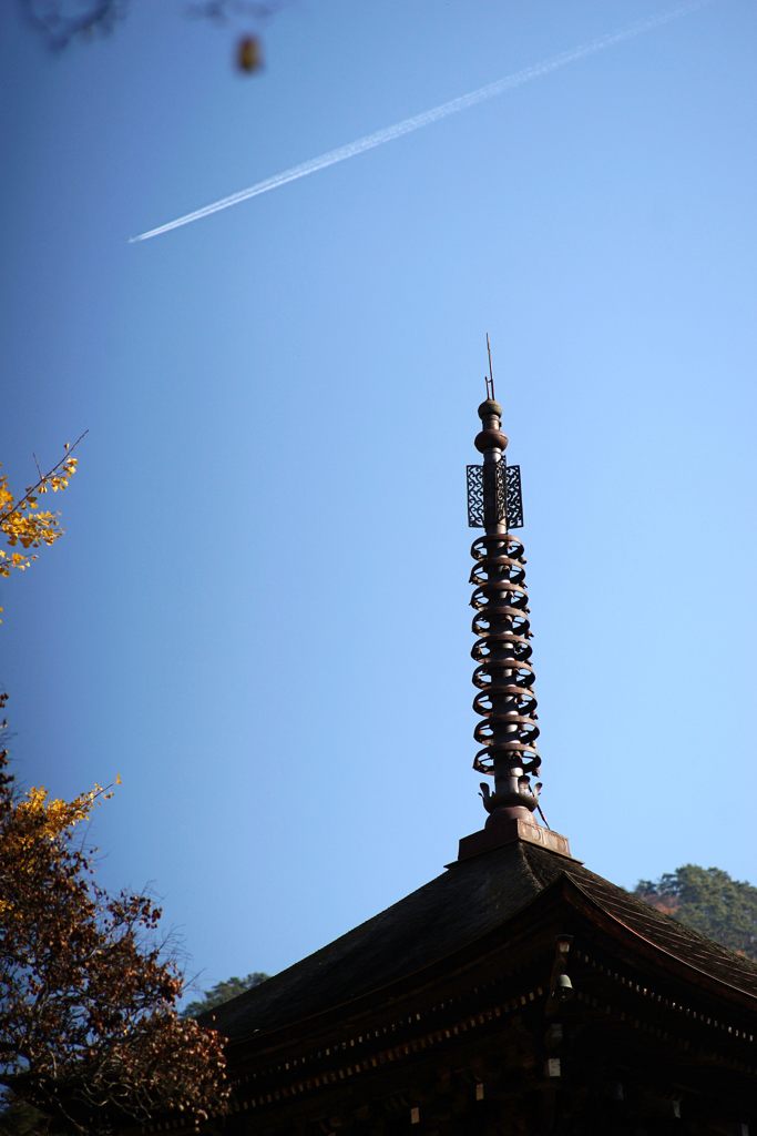 空高く　DSC04637