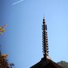 空高く　DSC04637
