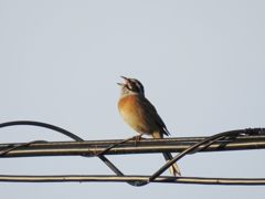 一日の終わりに　　IMG_1372