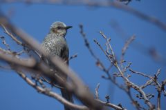 あたたかいな～　 DSC_0060
