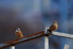 ツーショット　DSC_4457