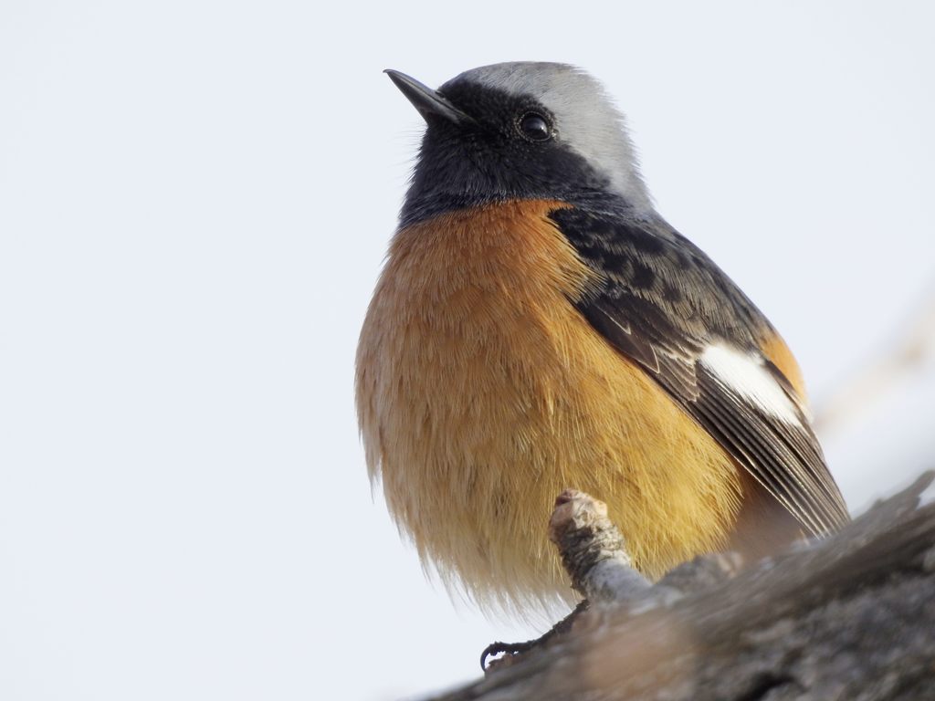 遊んでくれてありがとう　DSCN3144