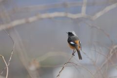 な～に？　DSC_1803