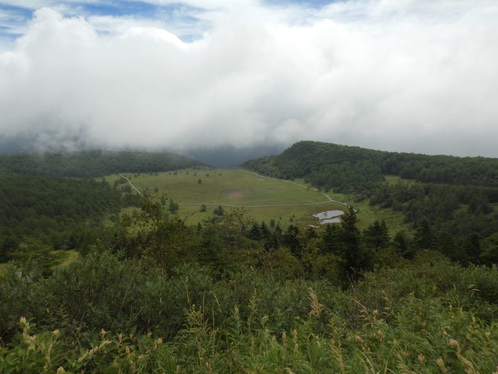 池の平湿原全景　DSCN6270