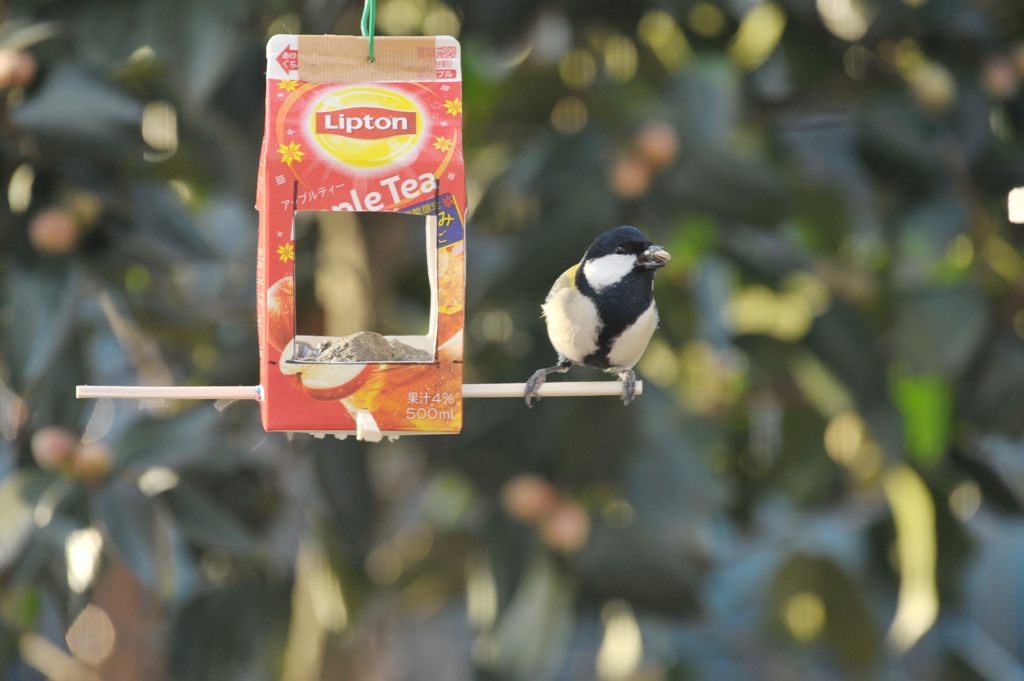 今日もゲット！　DSC_1489
