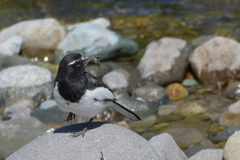 生きる　DSC_3744