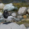 生きる　DSC_3744