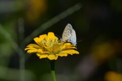 命を繋ぐ　　DSC_2218