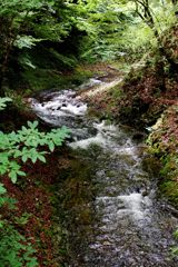 深緑の清流（五台橋より）　DSC_3353