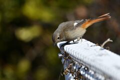 何かいるかな？　　　DSC_7968