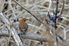 こっち向いて　　 DSC_9875