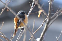 いえ、そんなことはありませんよ　　　DSC_5953