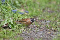 食べ歩き　　DSC_2399