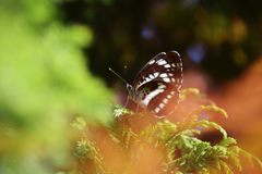 抱かれて　　DSC_2351