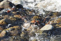 こっちはどうかな？　　DSC_1104
