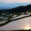 棚田の夕暮れ　DSC_2062