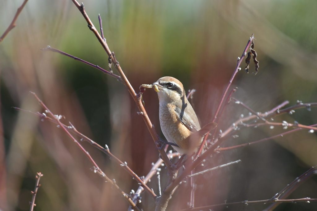 何してるの？　DSC_3839