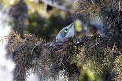 何かな？　DSC_7100