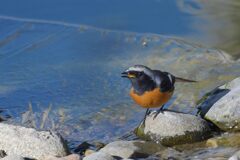 冷たいよ～！　　DSC_1508