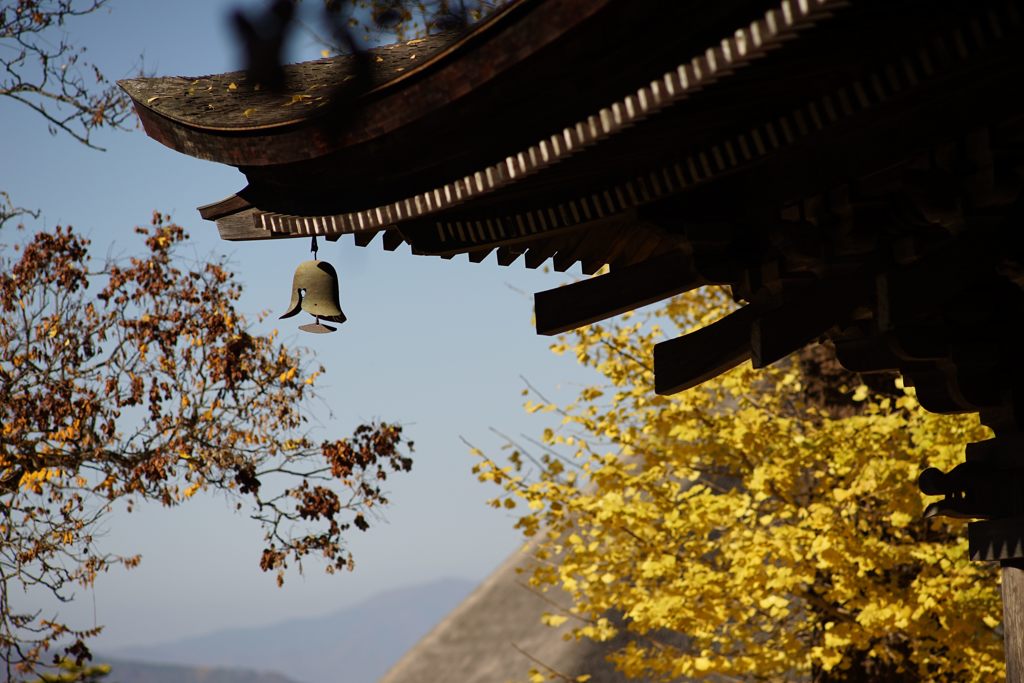 晩秋の古刹　DSC04649