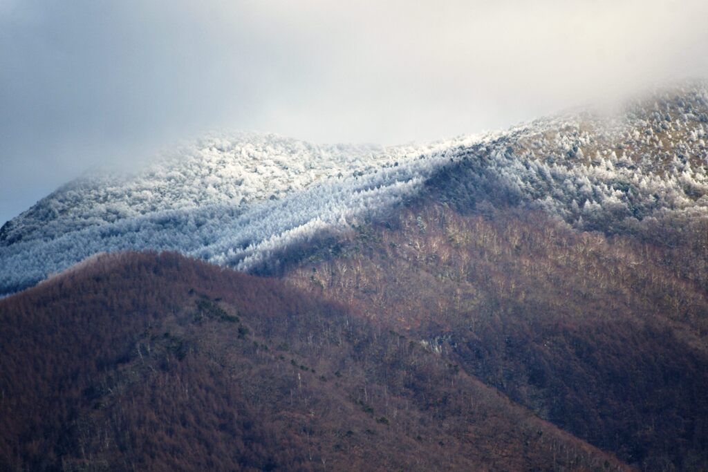 山に白いものが　DSC_5123