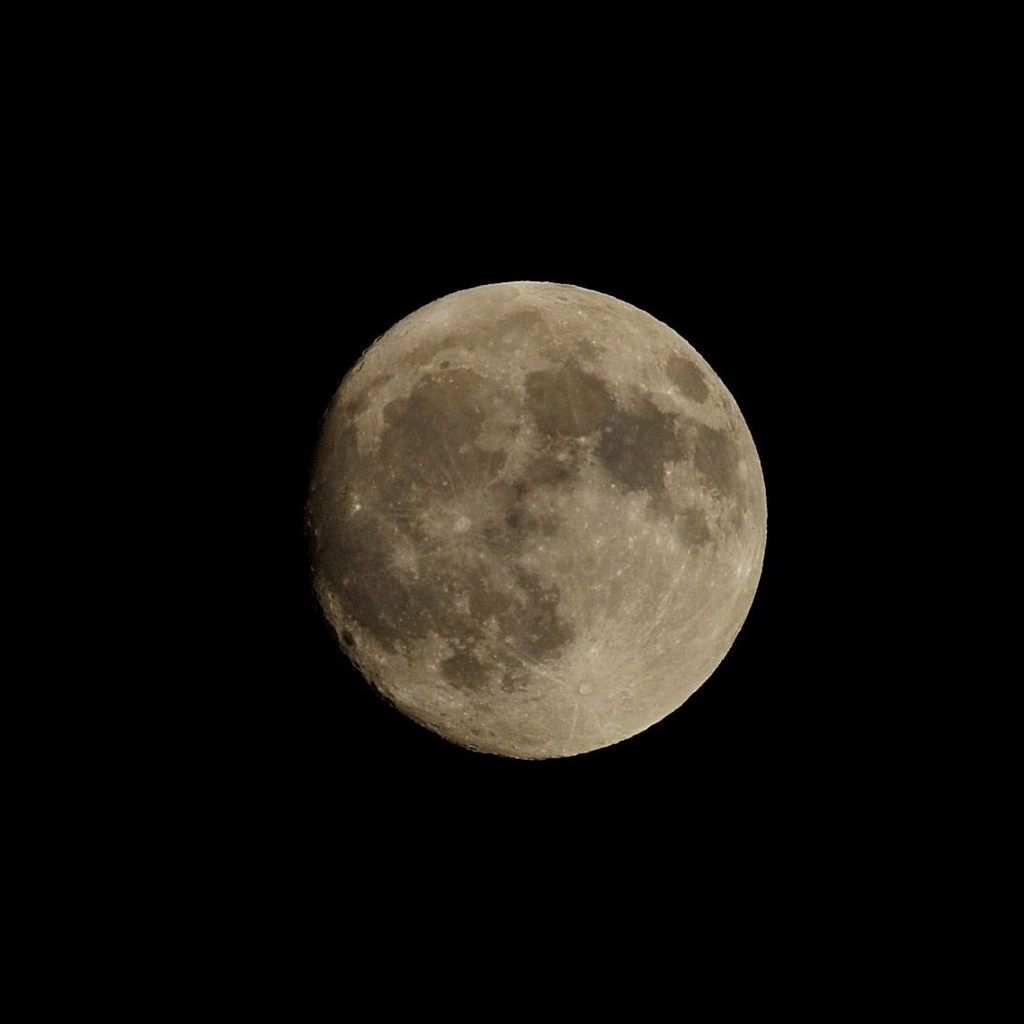 十五夜　DSC_9401