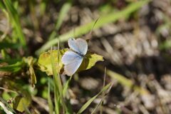 暖かい日　DSC_8114
