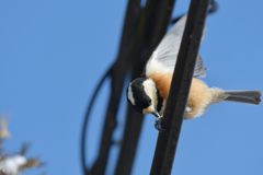 美味しい～！　DSC_5752