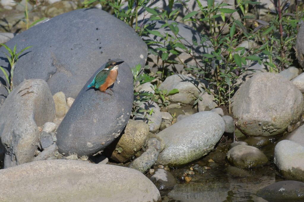 上が気になる　　DSC_6053