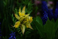 ひっそりと　　DSC_1599