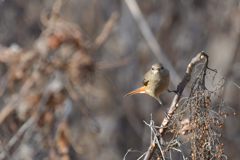 向き合う　DSC_3022