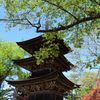 新緑の前山寺三重塔　DSC_1835