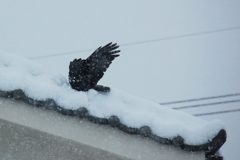 わっ！？　どないなってんねん？　DSC_5470