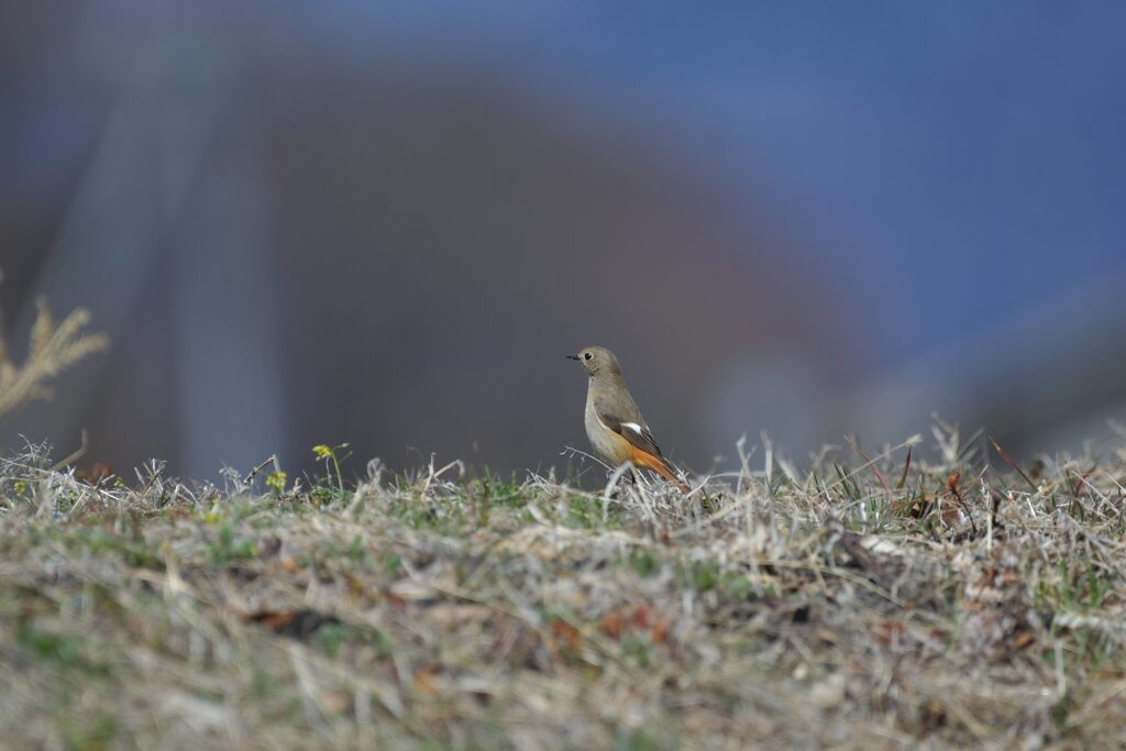 この景色を忘れないで　　DSC_9986