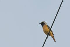 左向きます　DSC_2320