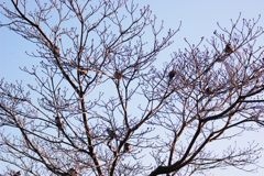 みんな、おはよう！　　DSC_5965