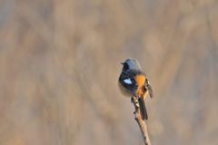 男は背中で・・・　DSC_7051