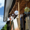 夏を惜しんで　DSC02503