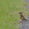 何かいるかな？　DSC_3859