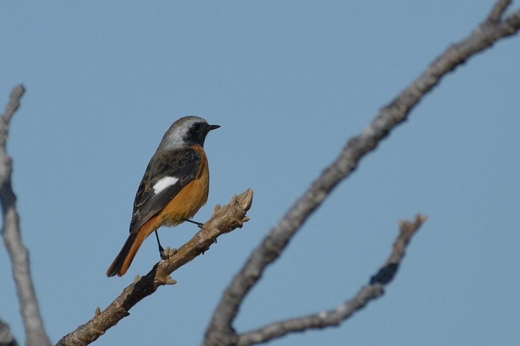 暖かい日に　DSC_6601