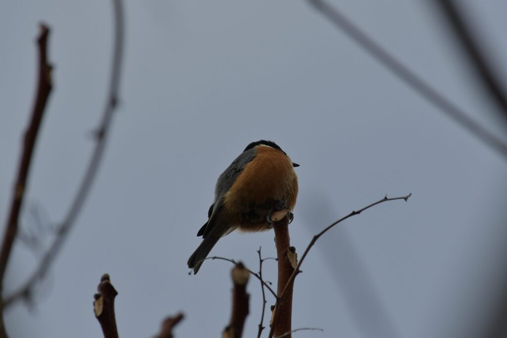 不具合１　　DSC_2718