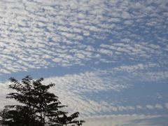 朝の空　DSCN0256