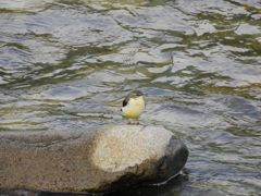 水冷たいでしょ？　DSCN0634