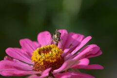 朝食　　DSC_1410