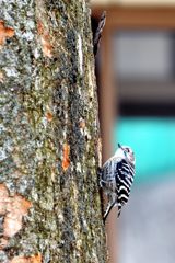 上までけっこうあるな～・・・　DSC_6440