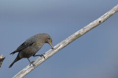 何かいるかな・・・　DSC_5457