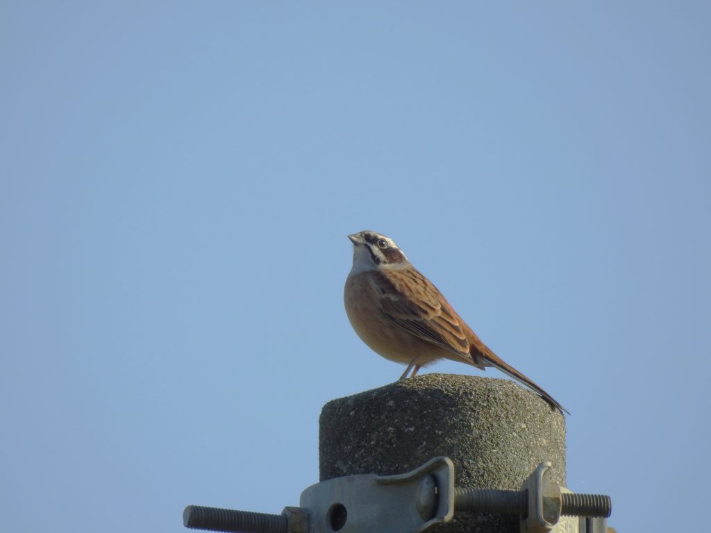 気持ちいいな～　DSCN0604