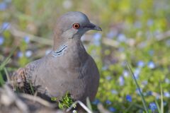 どうしたのかな？　　DSC_8430