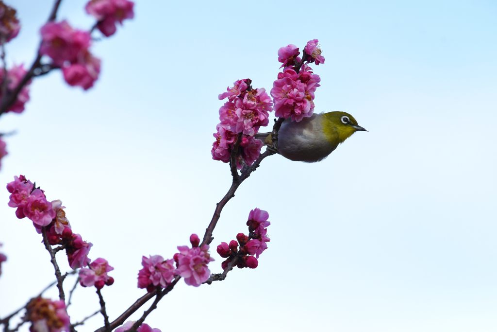 コロコロ変わる天気　DSC_8411